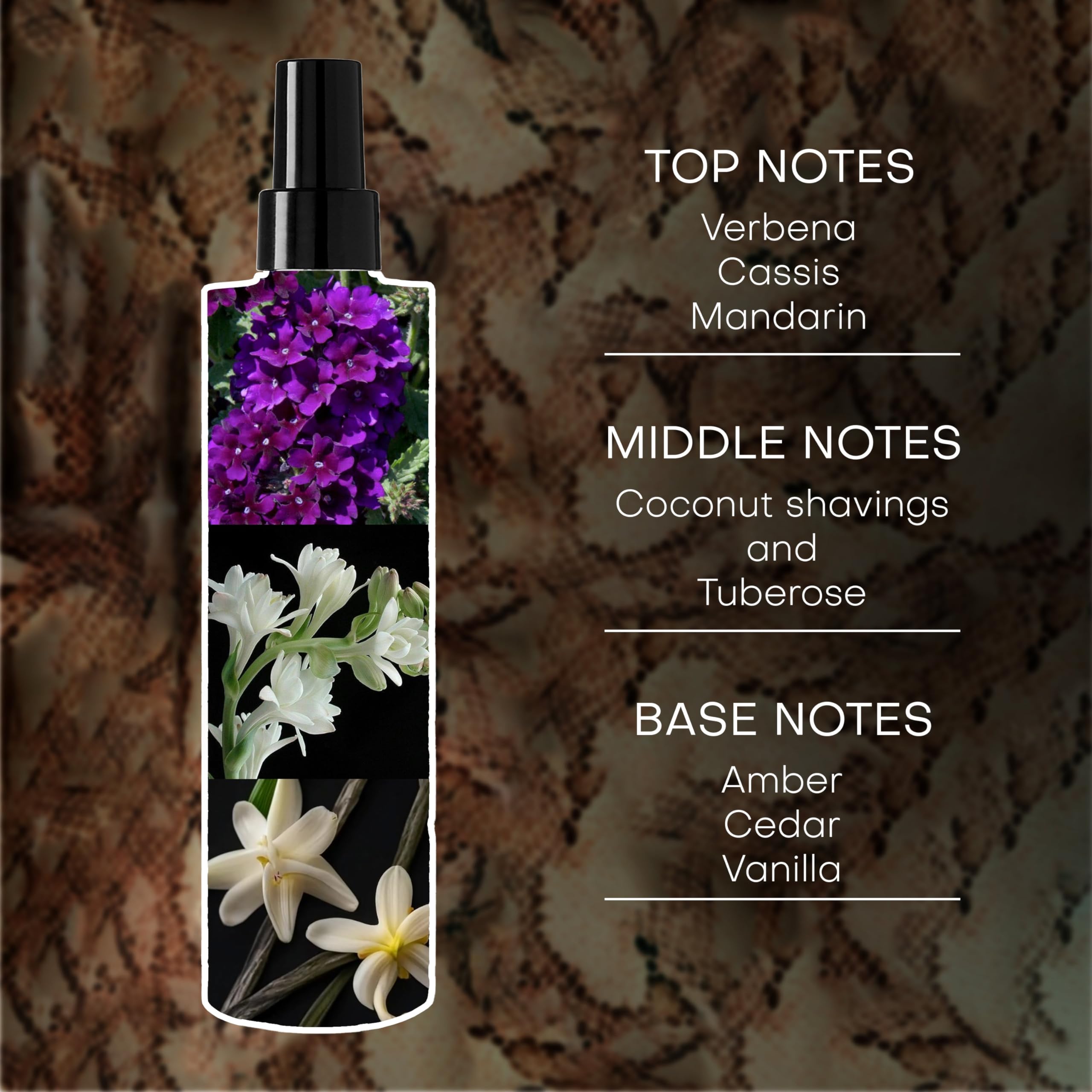 Rachel Zoe Fearless Body Mist for Women - Long-Lasting Luxury Body Mist with Woody Scents with Notes of Coconut, Amber & Tuberose - Gift for Women - 300 ml